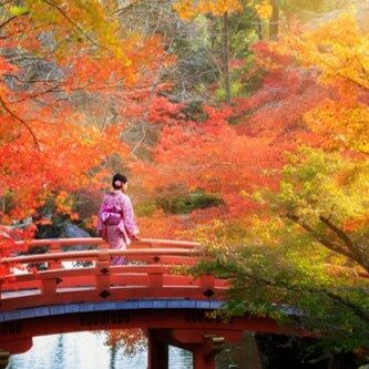 Stopover Viaggi ti porta nelle meraviglie del foliage in Giappone