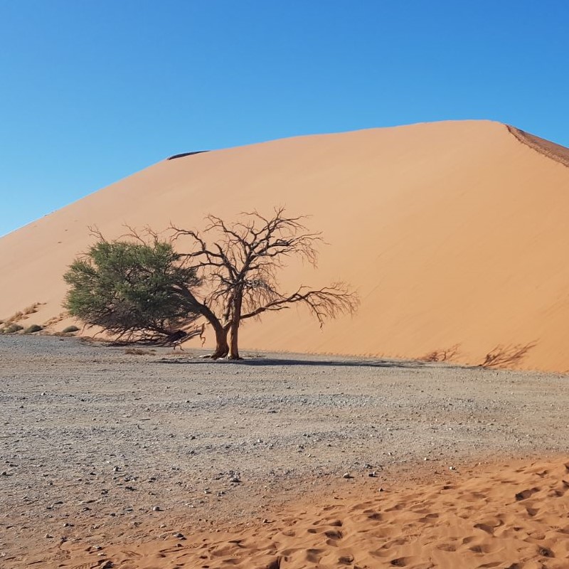 stopover novara viaggi di gruppo namibia